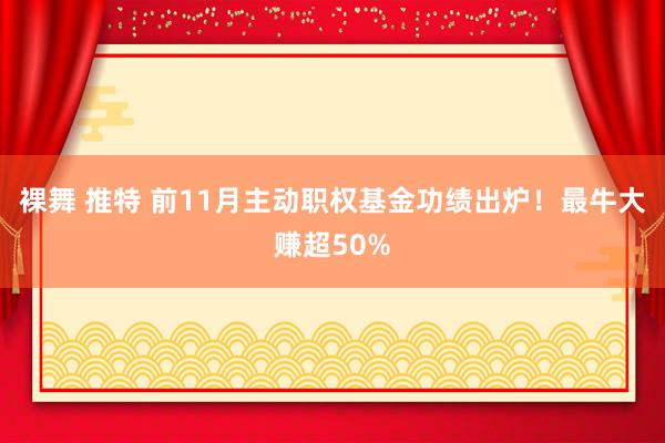 裸舞 推特 前11月主动职权基金功绩出炉！最牛大赚超50%