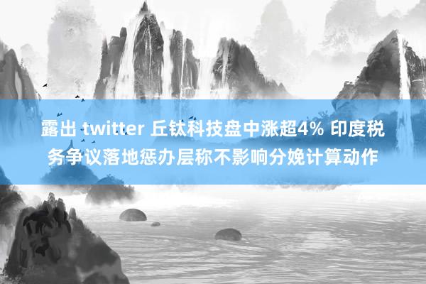 露出 twitter 丘钛科技盘中涨超4% 印度税务争议落地惩办层称不影响分娩计算动作