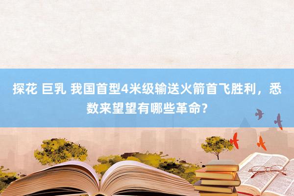 探花 巨乳 我国首型4米级输送火箭首飞胜利，悉数来望望有哪些革命？