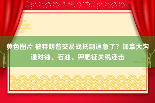 黄色图片 被特朗普交易战抵制逼急了？加拿大沟通对铀、石油、钾肥征关税还击