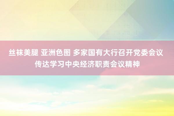 丝袜美腿 亚洲色图 多家国有大行召开党委会议 传达学习中央经济职责会议精神