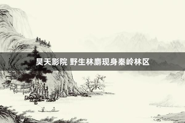 昊天影院 野生林麝现身秦岭林区