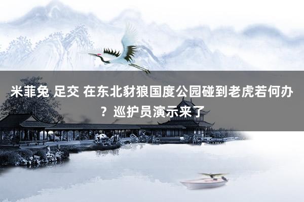 米菲兔 足交 在东北豺狼国度公园碰到老虎若何办？巡护员演示来了