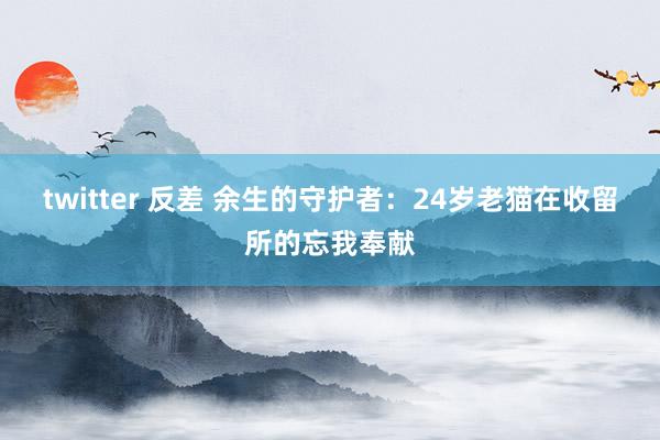 twitter 反差 余生的守护者：24岁老猫在收留所的忘我奉献