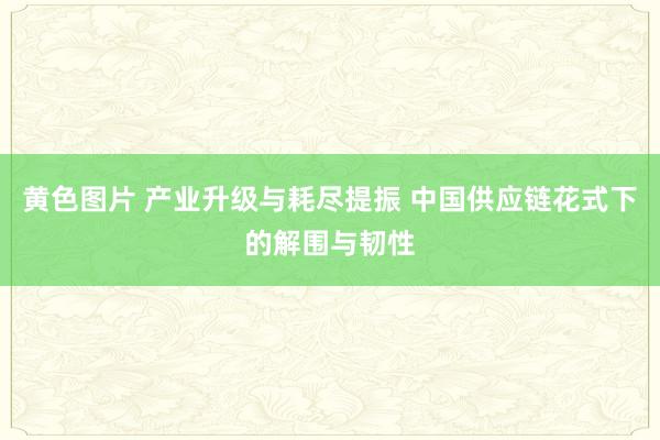 黄色图片 产业升级与耗尽提振 中国供应链花式下的解围与韧性