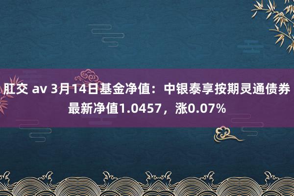 肛交 av 3月14日基金净值：中银泰享按期灵通债券最新净值1.0457，涨0.07%