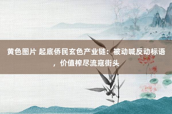 黄色图片 起底侨民玄色产业链：被动喊反动标语，价值榨尽流寇街头