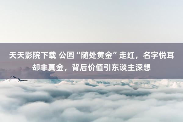天天影院下载 公园“随处黄金”走红，名字悦耳却非真金，背后价值引东谈主深想