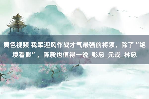 黄色视频 我军迎风作战才气最强的将领，除了“绝境看彭”，陈毅也值得一说_彭总_元戎_林总