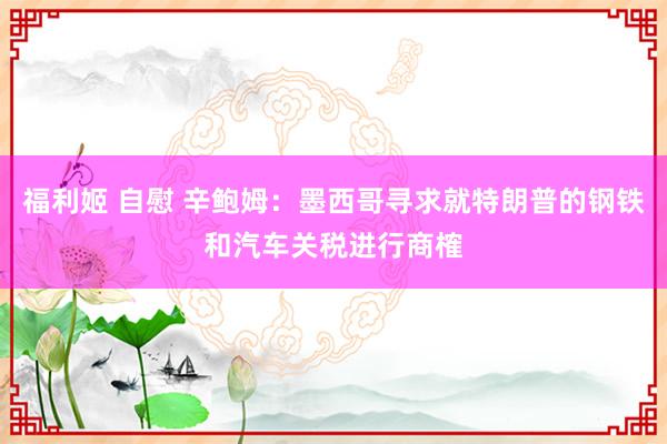 福利姬 自慰 辛鲍姆：墨西哥寻求就特朗普的钢铁和汽车关税进行商榷