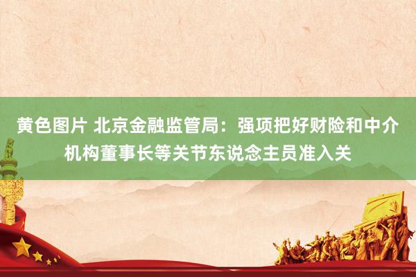 黄色图片 北京金融监管局：强项把好财险和中介机构董事长等关节东说念主员准入关