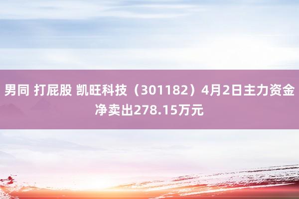 男同 打屁股 凯旺科技（301182）4月2日主力资金净卖出278.15万元