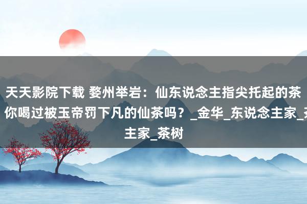天天影院下载 婺州举岩：仙东说念主指尖托起的茶魂，你喝过被玉帝罚下凡的仙茶吗？_金华_东说念主家_茶树