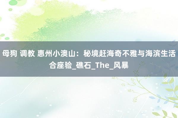 母狗 调教 惠州小澳山：秘境赶海奇不雅与海滨生活合座验_礁石_The_风暴