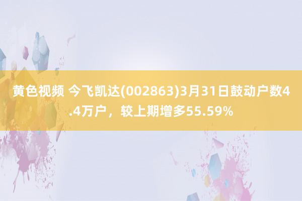 黄色视频 今飞凯达(002863)3月31日鼓动户数4.4万户，较上期增多55.59%