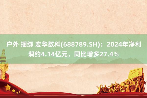 户外 捆绑 宏华数科(688789.SH)：2024年净利润约4.14亿元，同比增多27.4%