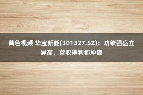 黄色视频 华宝新能(301327.SZ)：功绩强盛立异高，营收净利都冲破