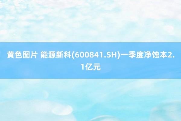 黄色图片 能源新科(600841.SH)一季度净蚀本2.1亿元